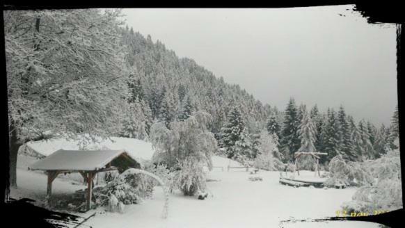 B&B Lo Scoiattolo Nebbiu Zewnętrze zdjęcie